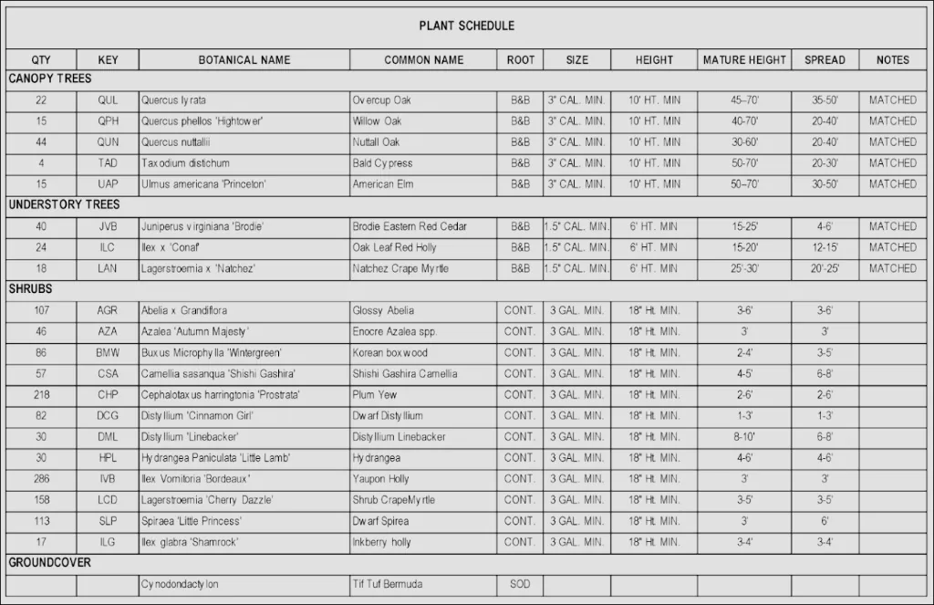 A plant schedule table from a landscape drawing: columns for quantity, key, botanical name, common name, root, size, height, mature height, spread and notes, grouped into canopy trees, understory trees, shrubs and groundcover.